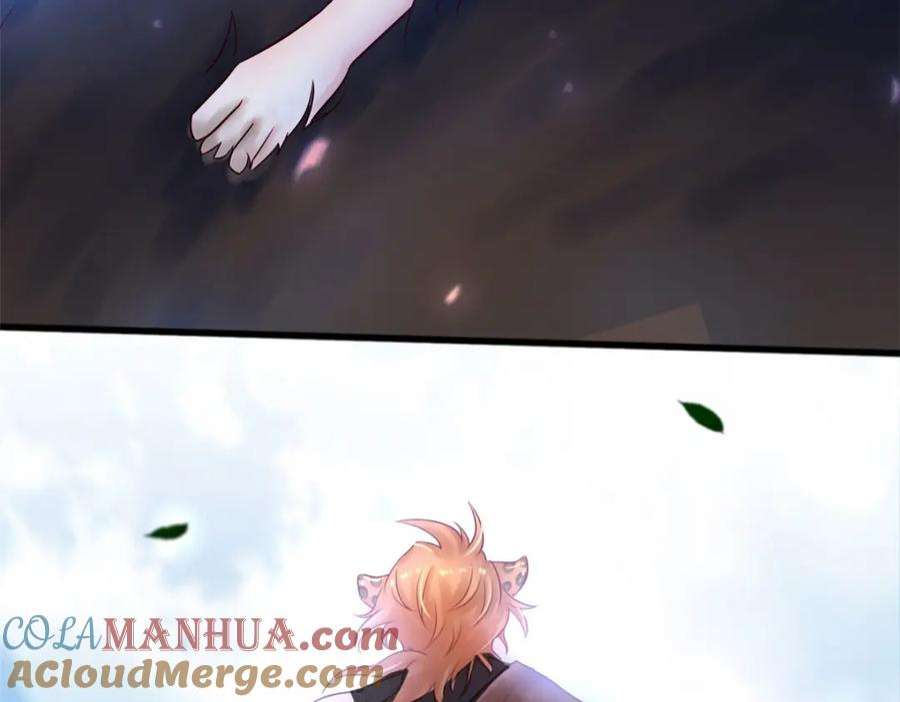 97.jpg