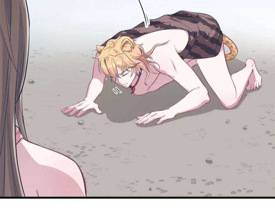 47.jpg