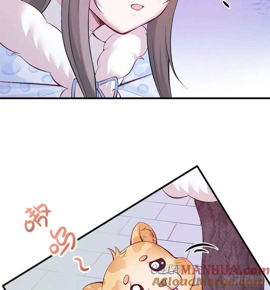 43.jpg