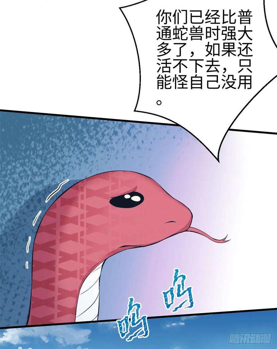 51.jpg