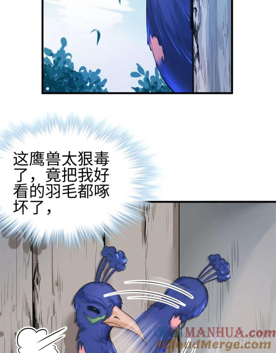 31.jpg