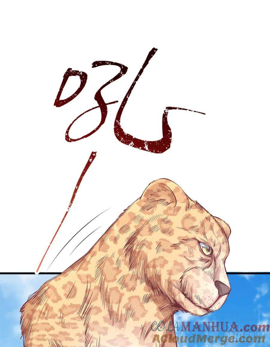 43.jpg