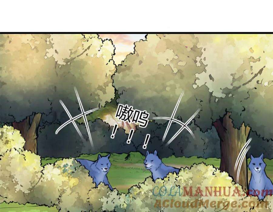 53.jpg