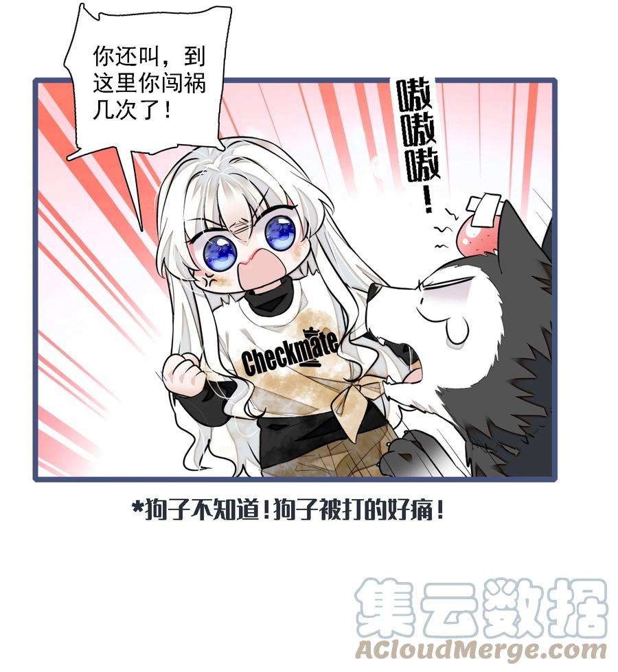 15.jpg