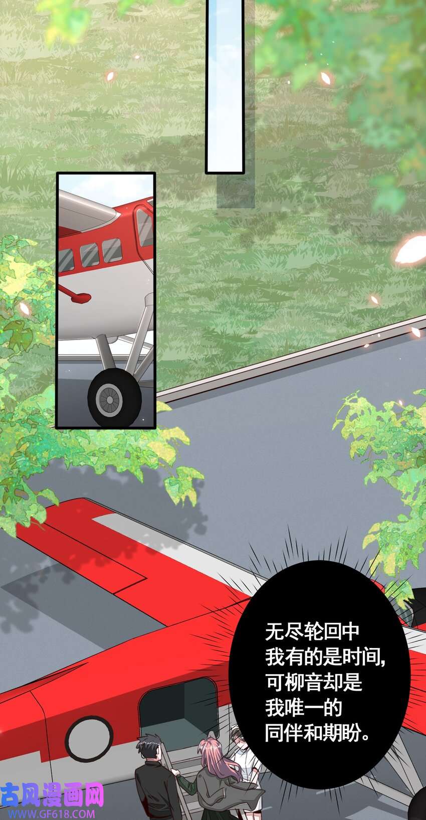 11.jpg