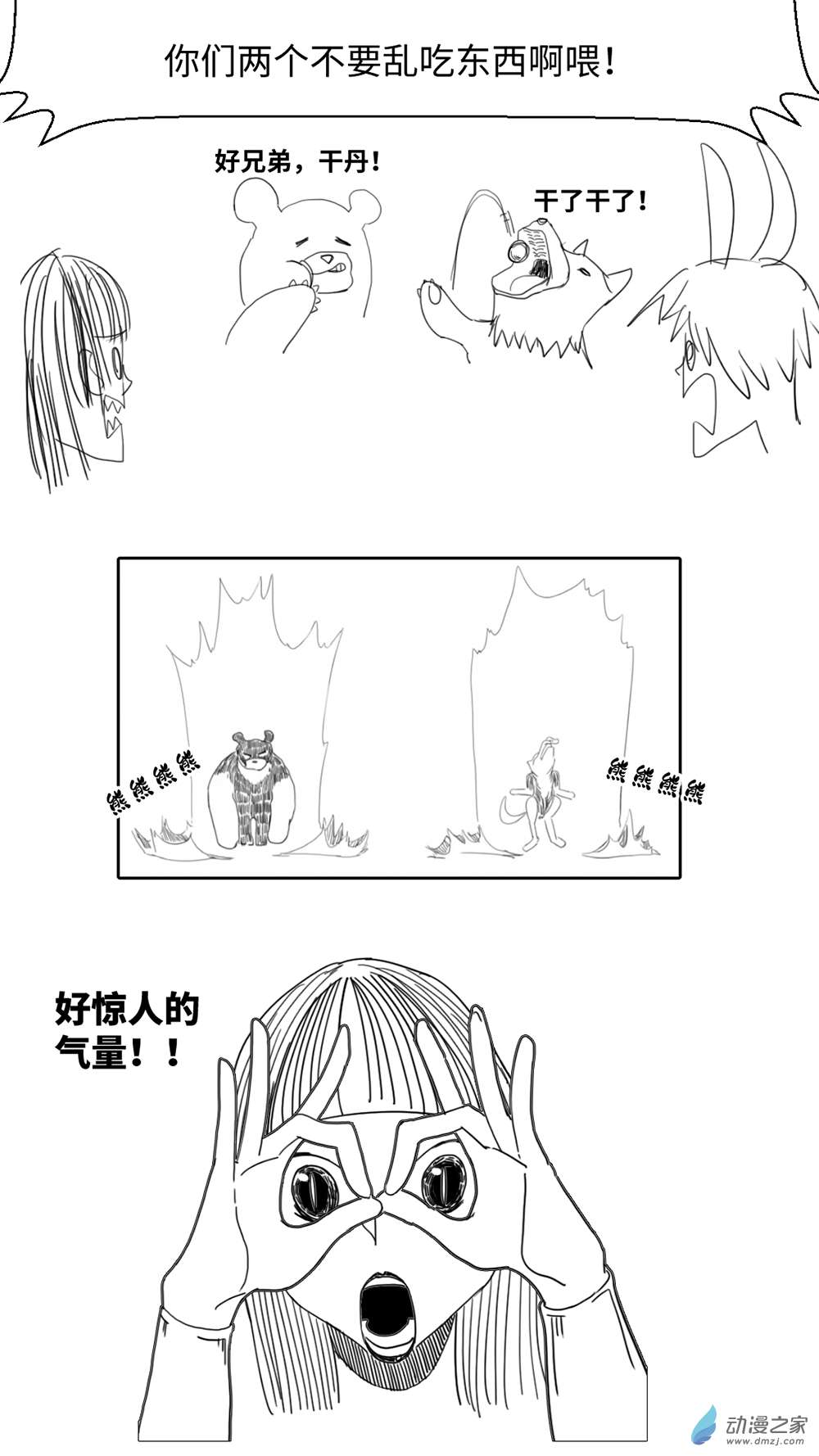 5.jpg