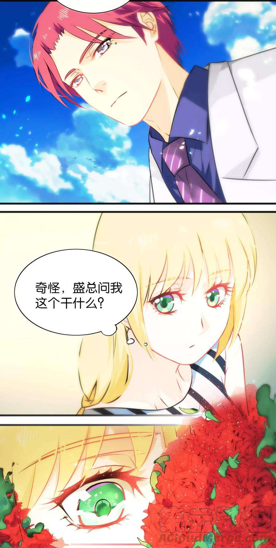 11.jpg