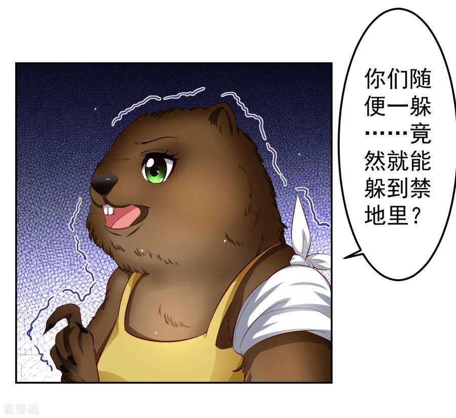 16.jpg