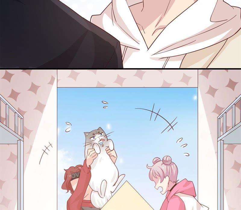 39.jpg
