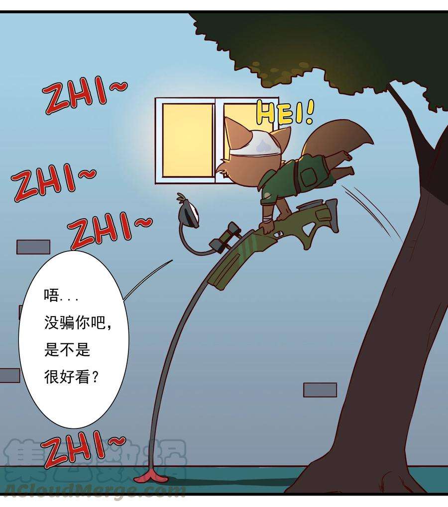 11.jpg