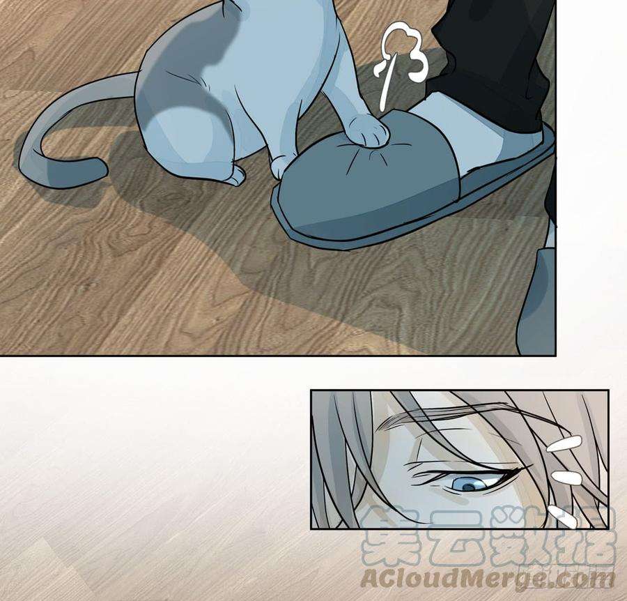 43.jpg
