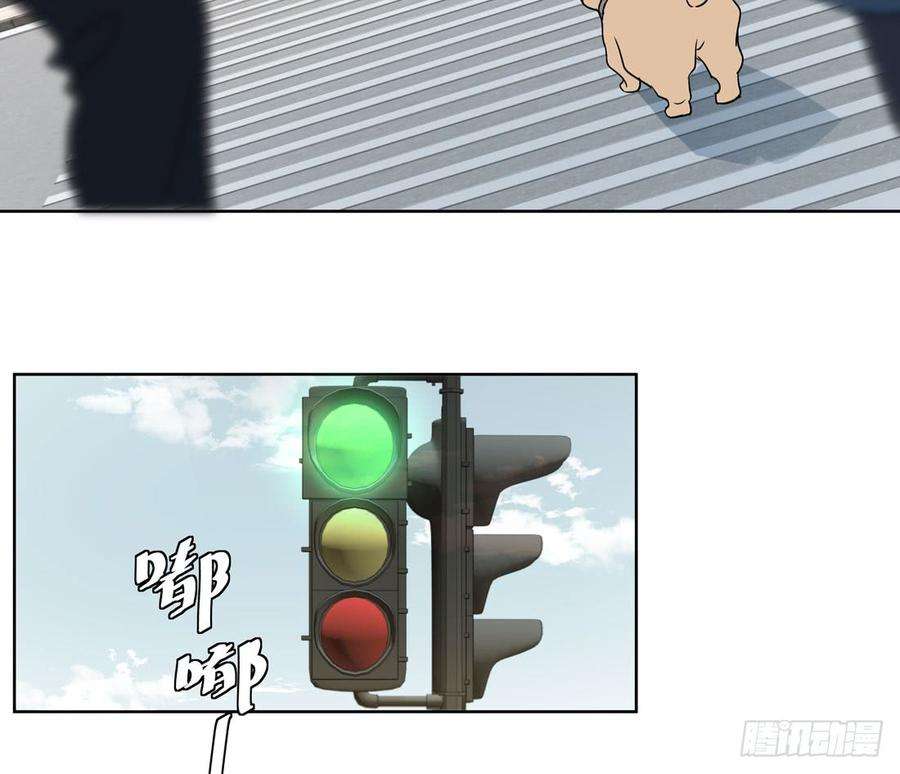 41.jpg