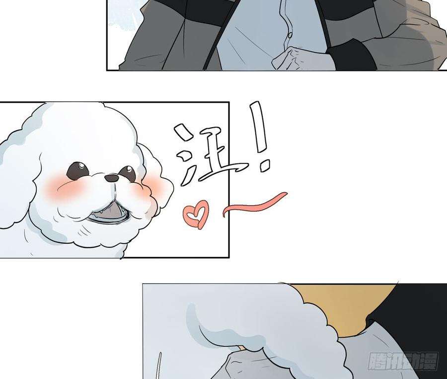 53.jpg