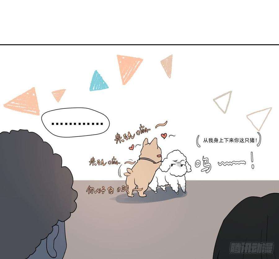 51.jpg