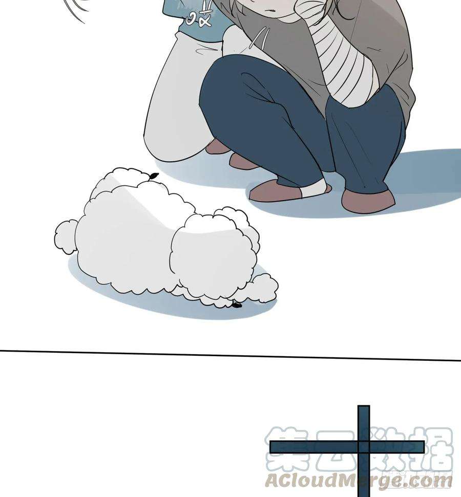 41.jpg