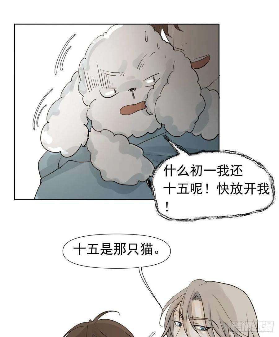 46.jpg