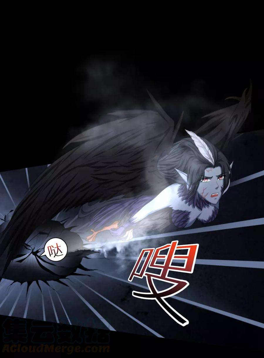 29.jpg