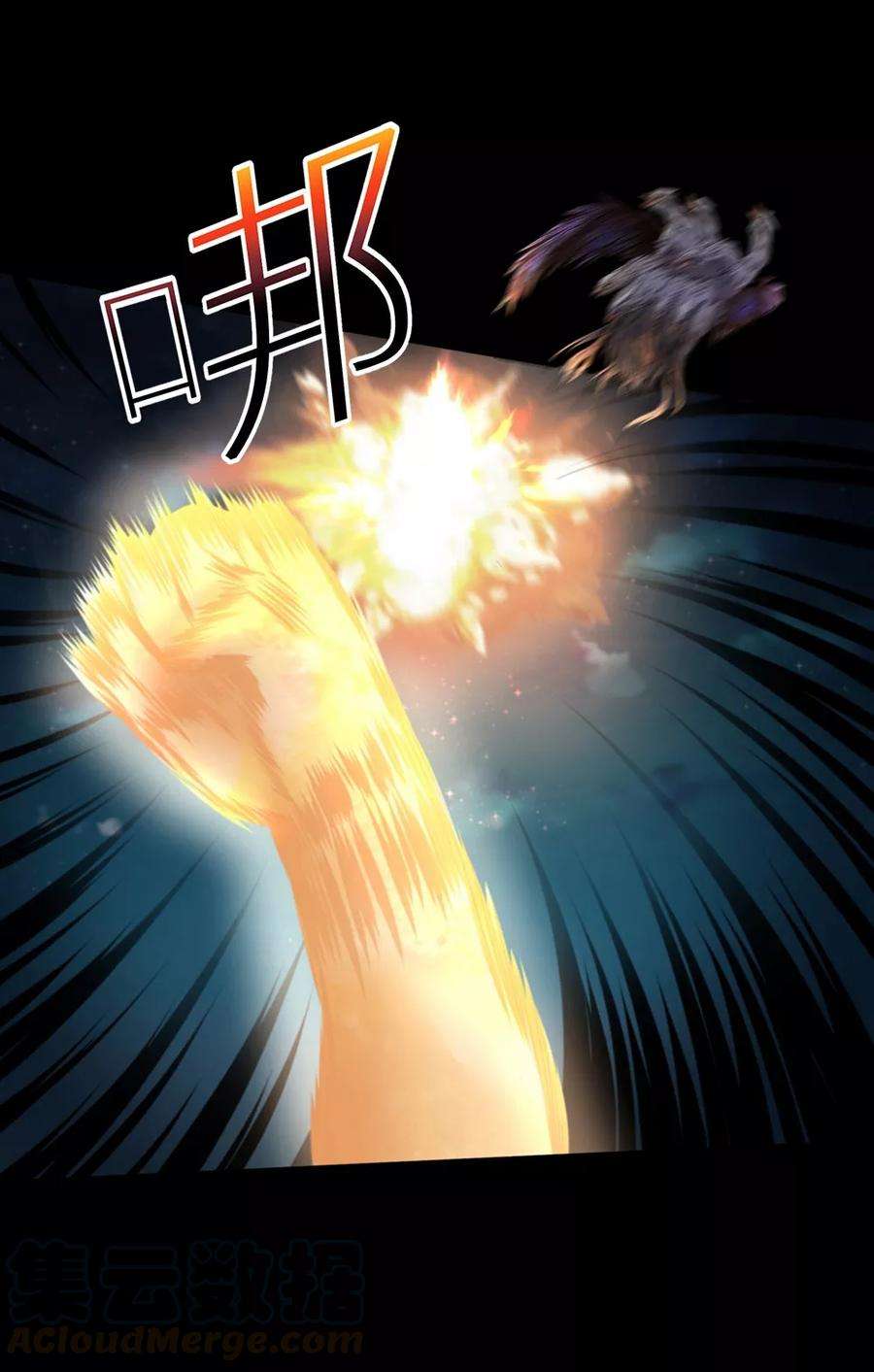 25.jpg