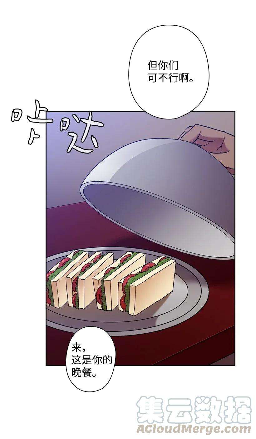 41.jpg