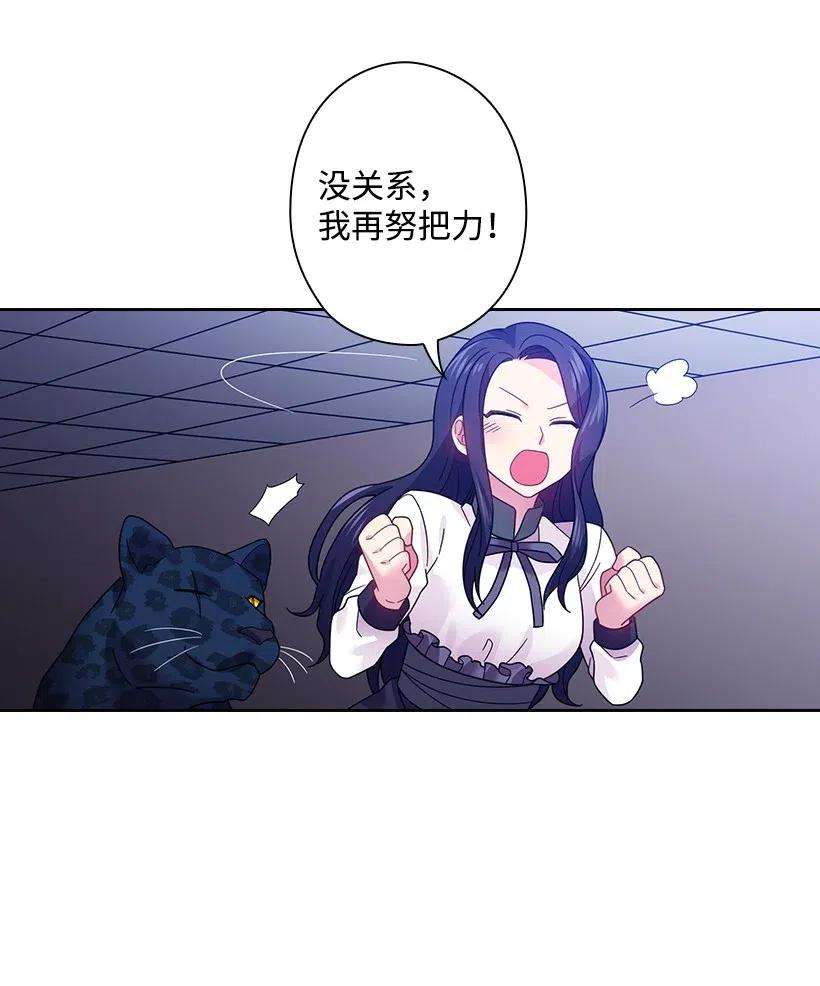 49.jpg