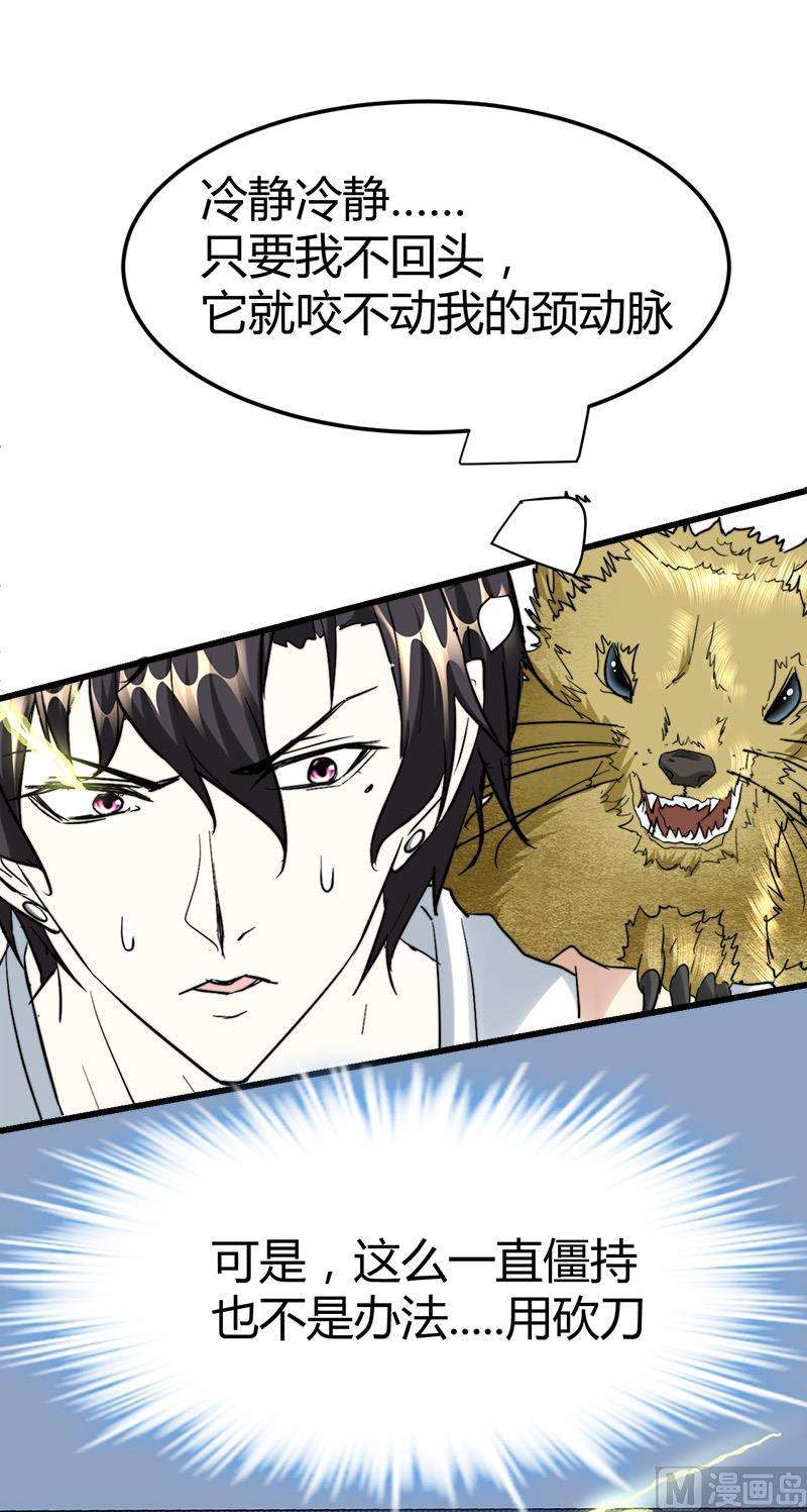 28.jpg