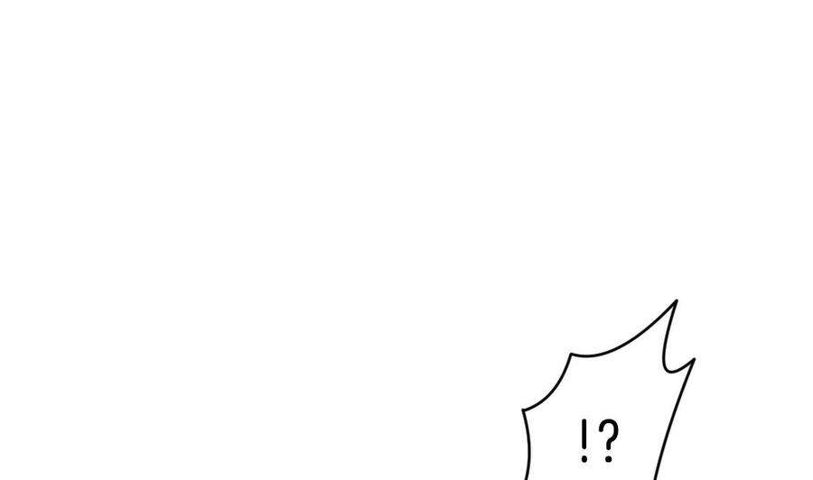 113.jpg