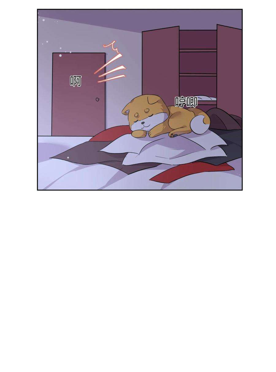 64.jpg