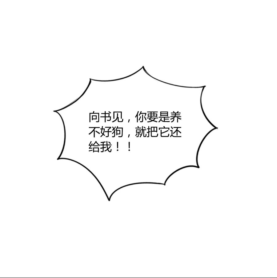 63.jpg