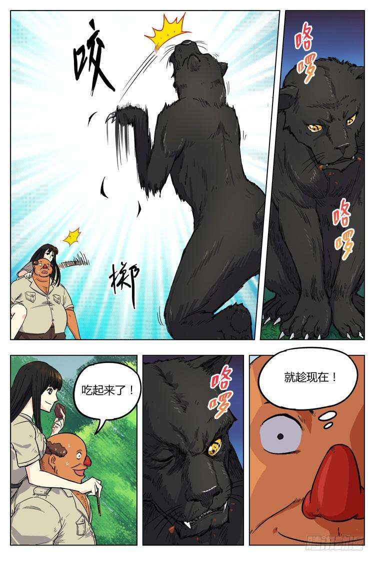 5.jpg