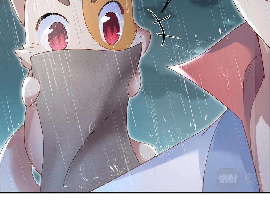 41.jpg