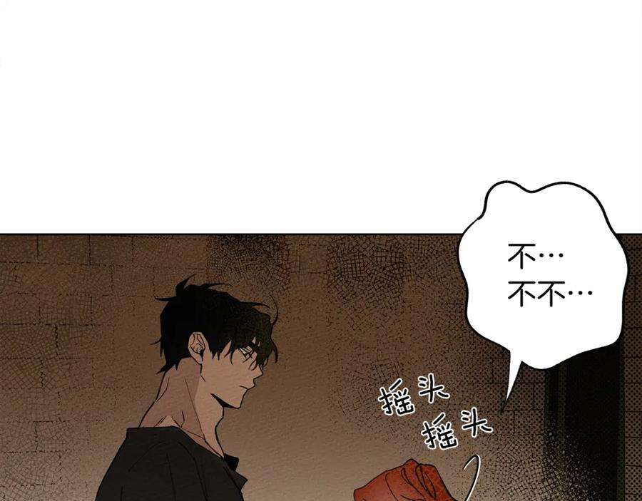 201.jpg