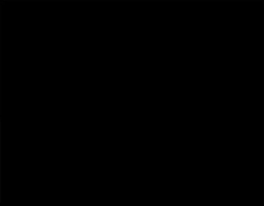 117.jpg