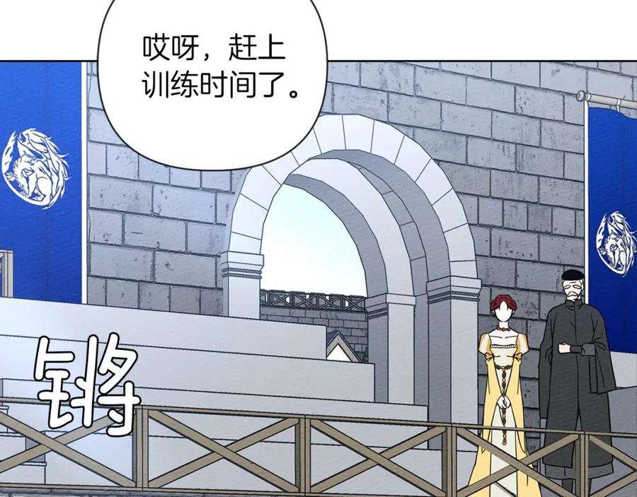 233.jpg