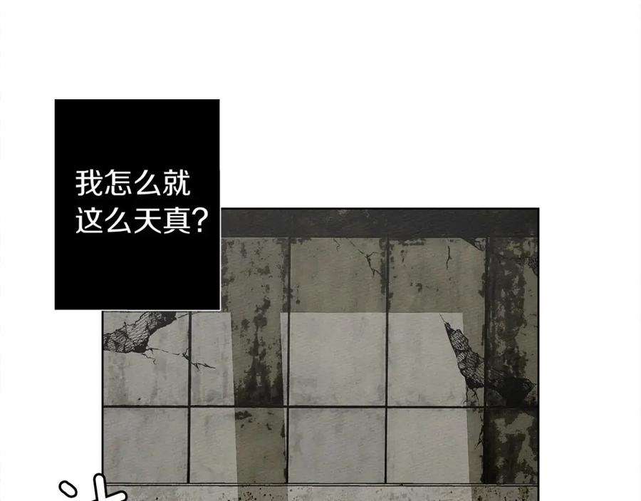 115.jpg