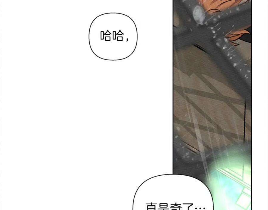 113.jpg