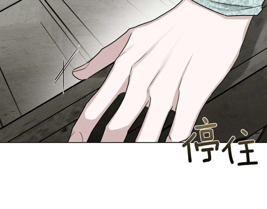 146.jpg