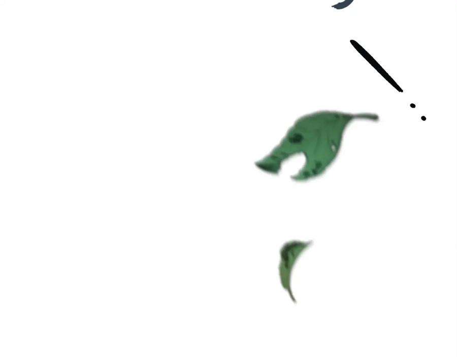81.jpg