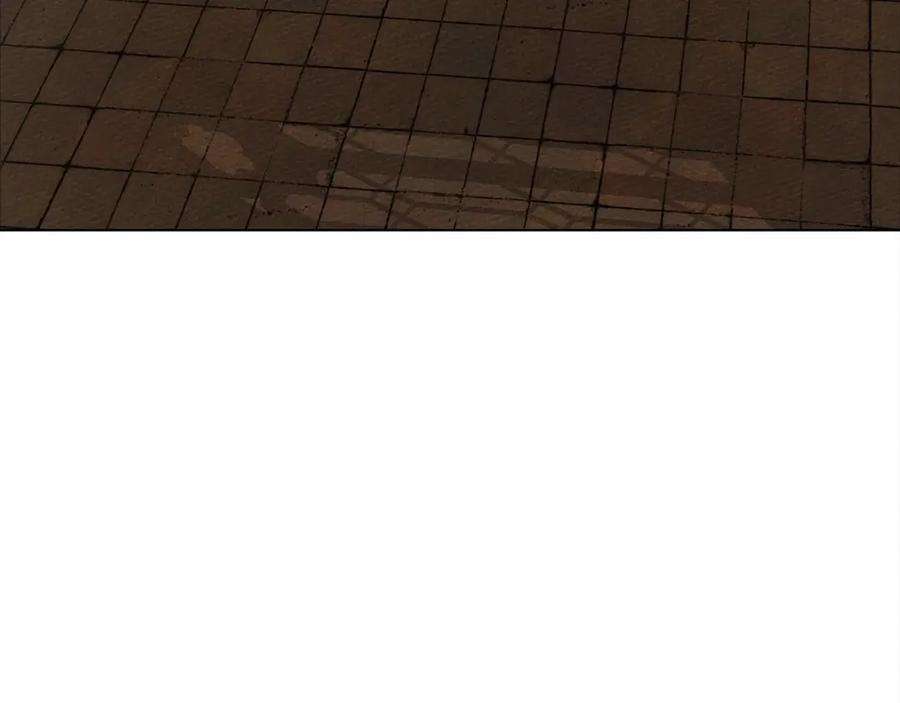 171.jpg