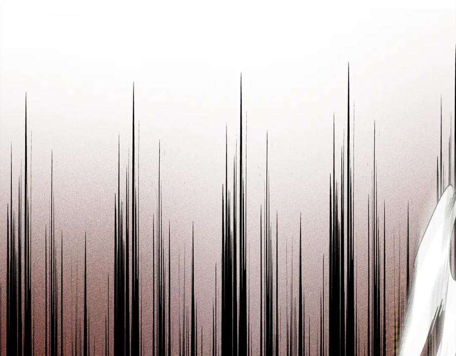 146.jpg