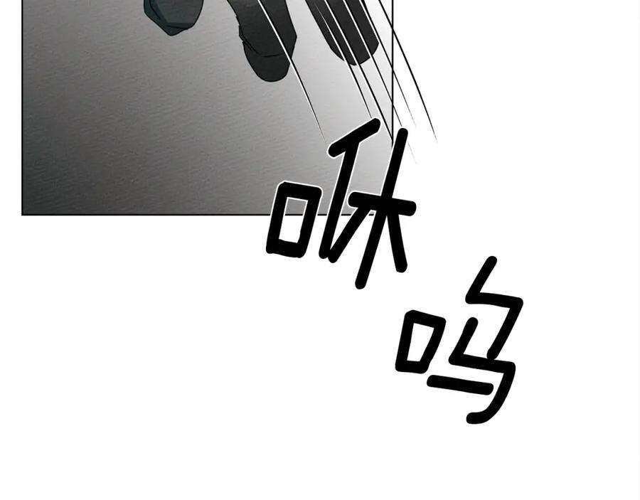 96.jpg