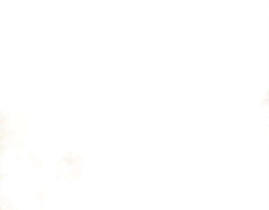 99.jpg