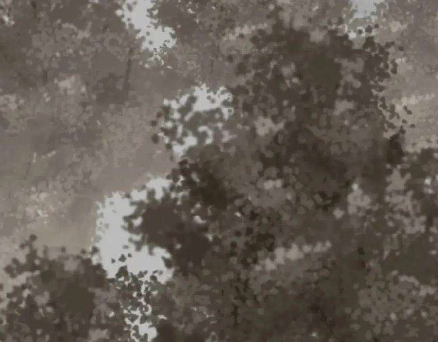 26.jpg