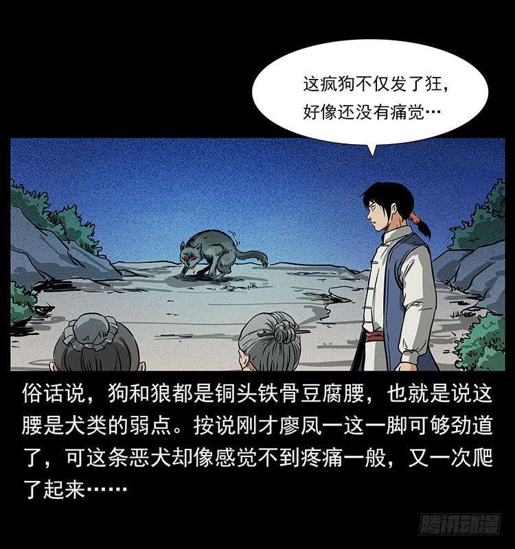 16.jpg