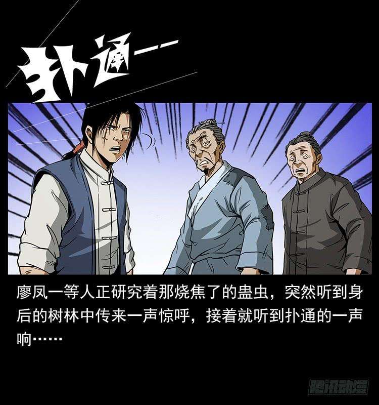 33.jpg