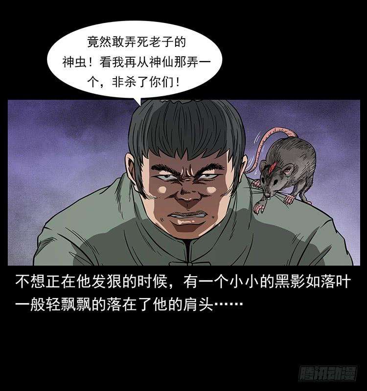 29.jpg