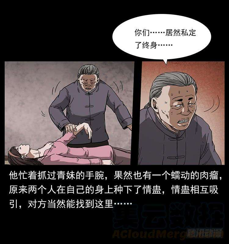 41.jpg
