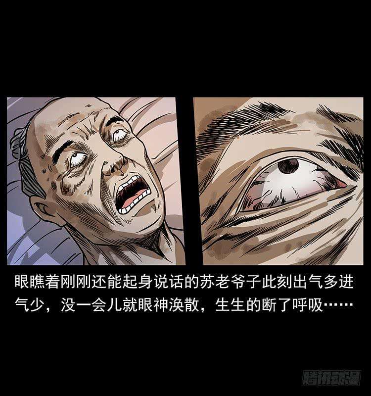 35.jpg
