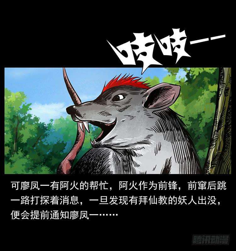 40.jpg