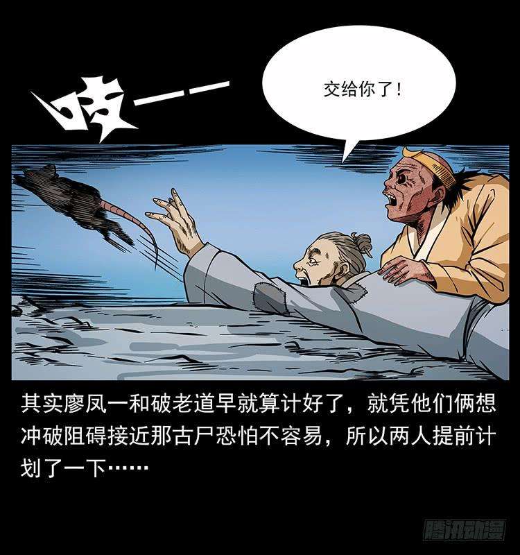 55.jpg