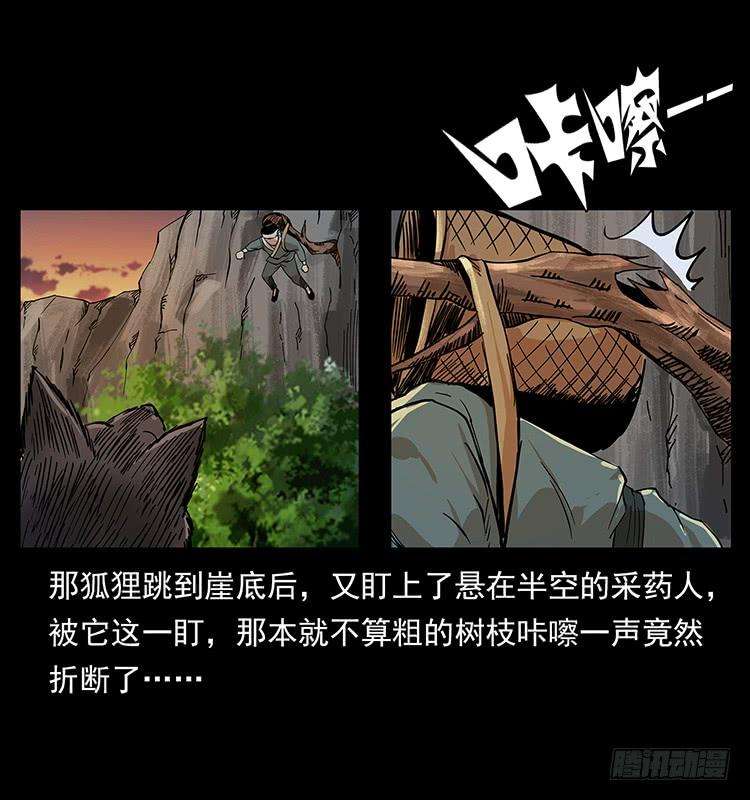 46.jpg